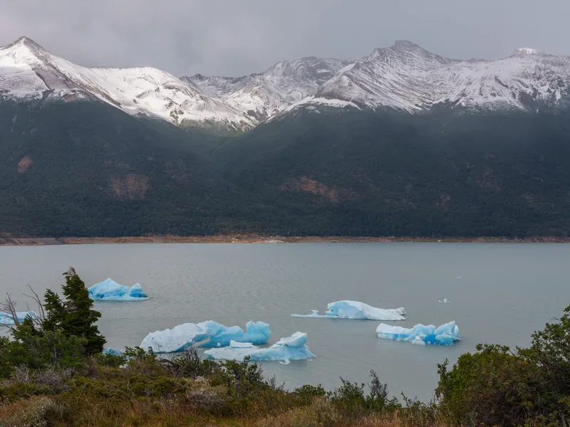 DSC02414.jpg