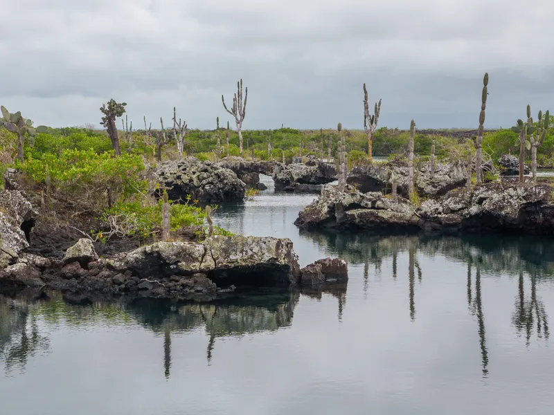 DSC04101.jpg